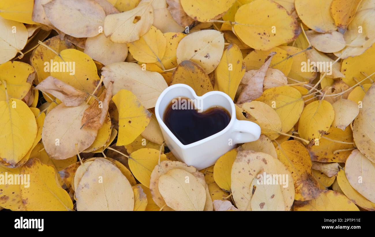 Herbstgelbe Blätter fallen auf einen herzförmigen Becher, Kaffee oder Tee stehen auf bunten Blättern, Zeitlupe, 4K cm. Herbstliebe. Der Herbst ist mein Favo Stockfoto