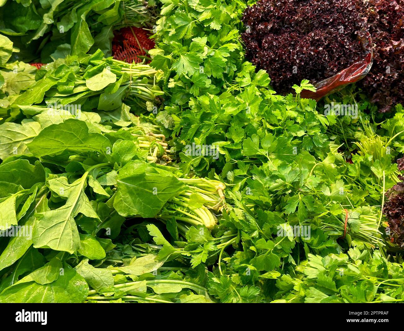 Hintergrund Für Frisches Grünes Gemüse. Dunkle Blattkultur mit grünem Gemüse und frischem Garten als gesundes Esskonzept. Stockfoto