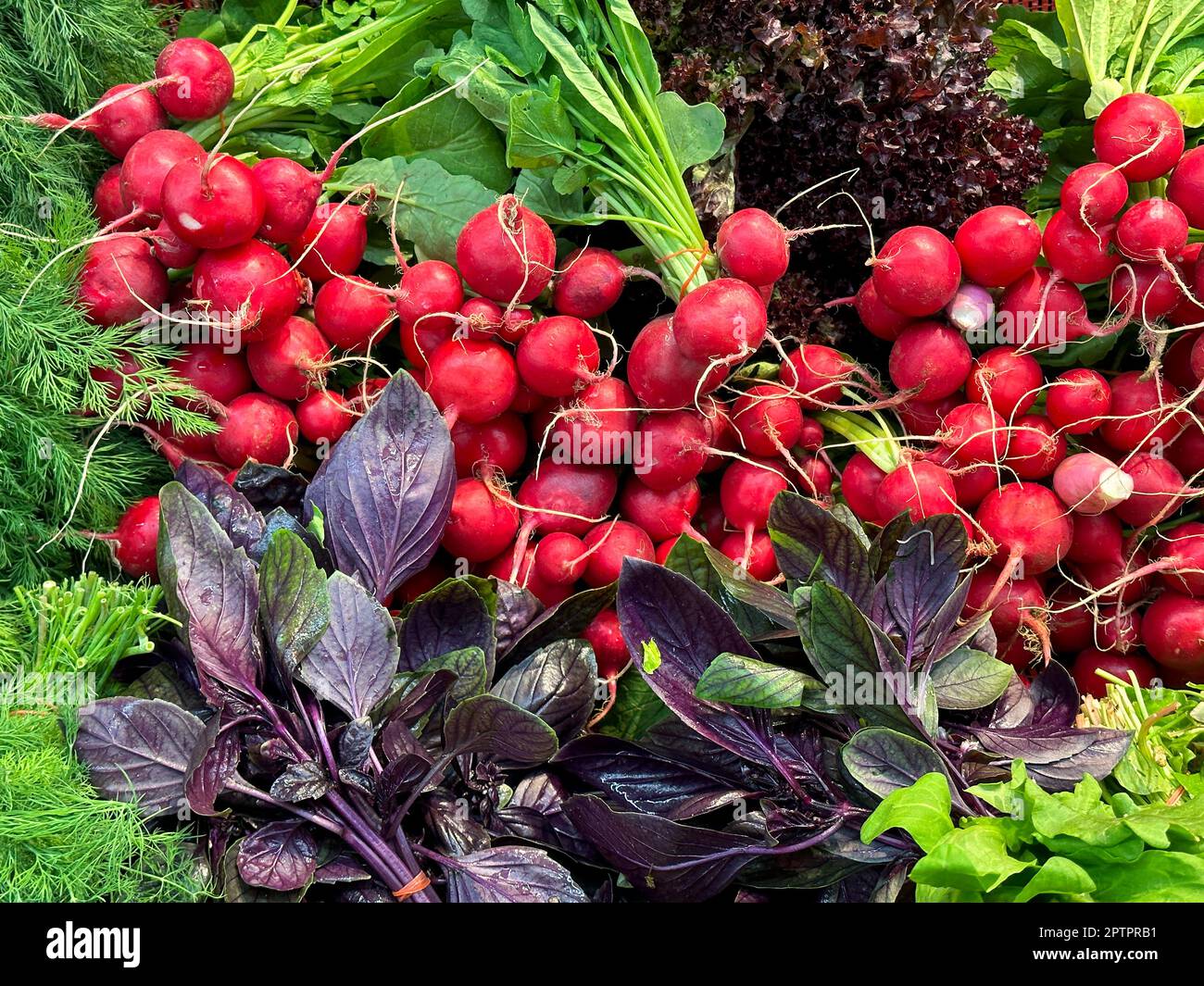 Hintergrund für frisches Gemüse. Dunkle Blattkultur mit grünem Gemüse und frischem Garten als gesundes Esskonzept. Stockfoto