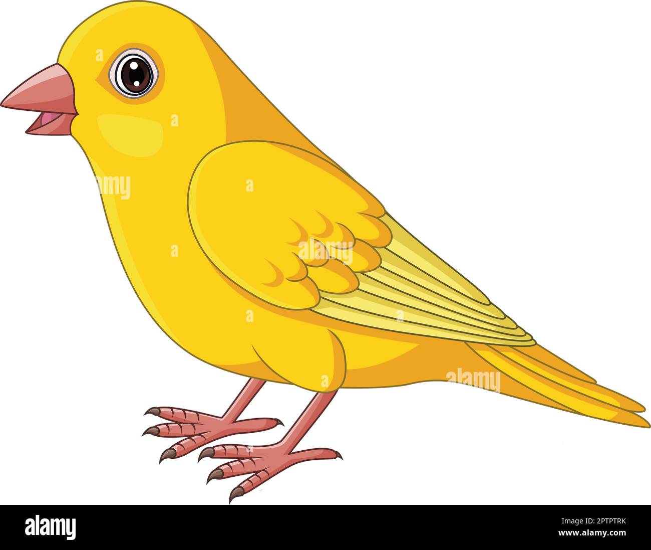 Cartoon Gelber Kanarienvogel auf weißem Hintergrund Stock Vektor