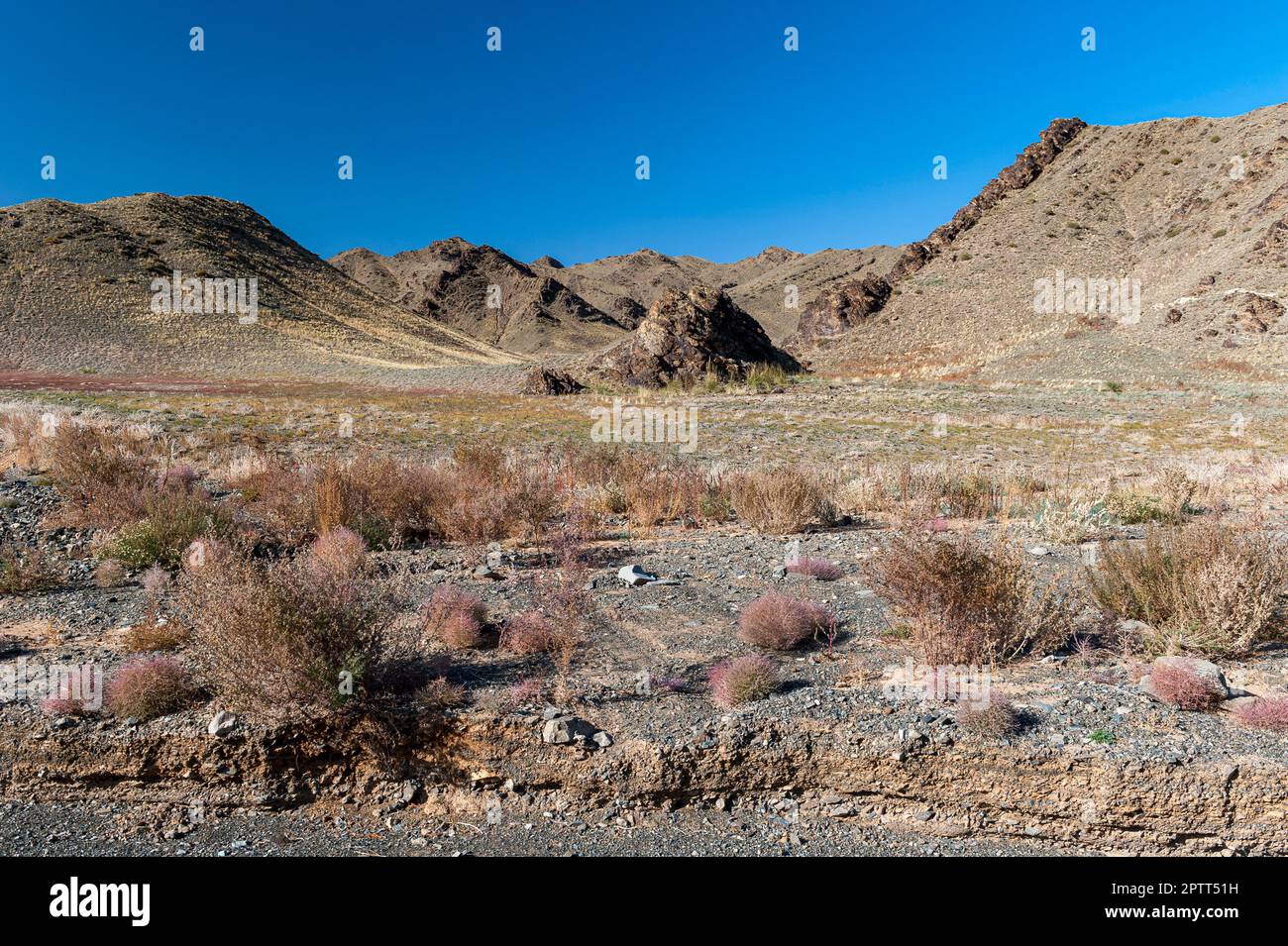 Ein ausgetrocknetes Flussbett in der Steppe der Mongolei in Zentralasien Stockfoto