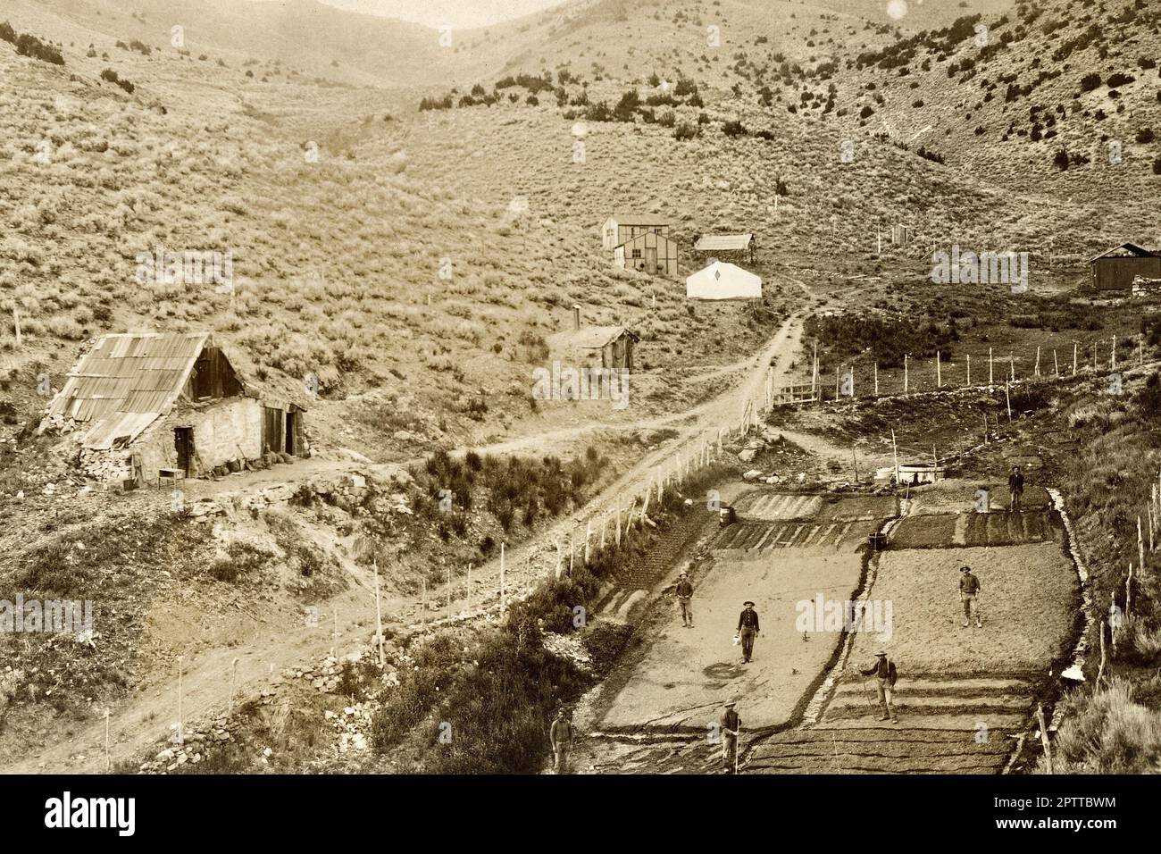 Homestead Act, Settlers 1900s, Farmstead Stockfoto