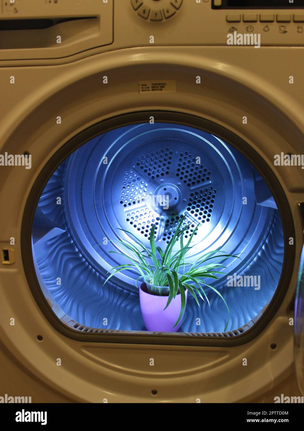 Pflanzen Sie in Einem Kunststofftopf in Einer Waschtrommel ein Stockfoto für Vertical Story Stockfoto