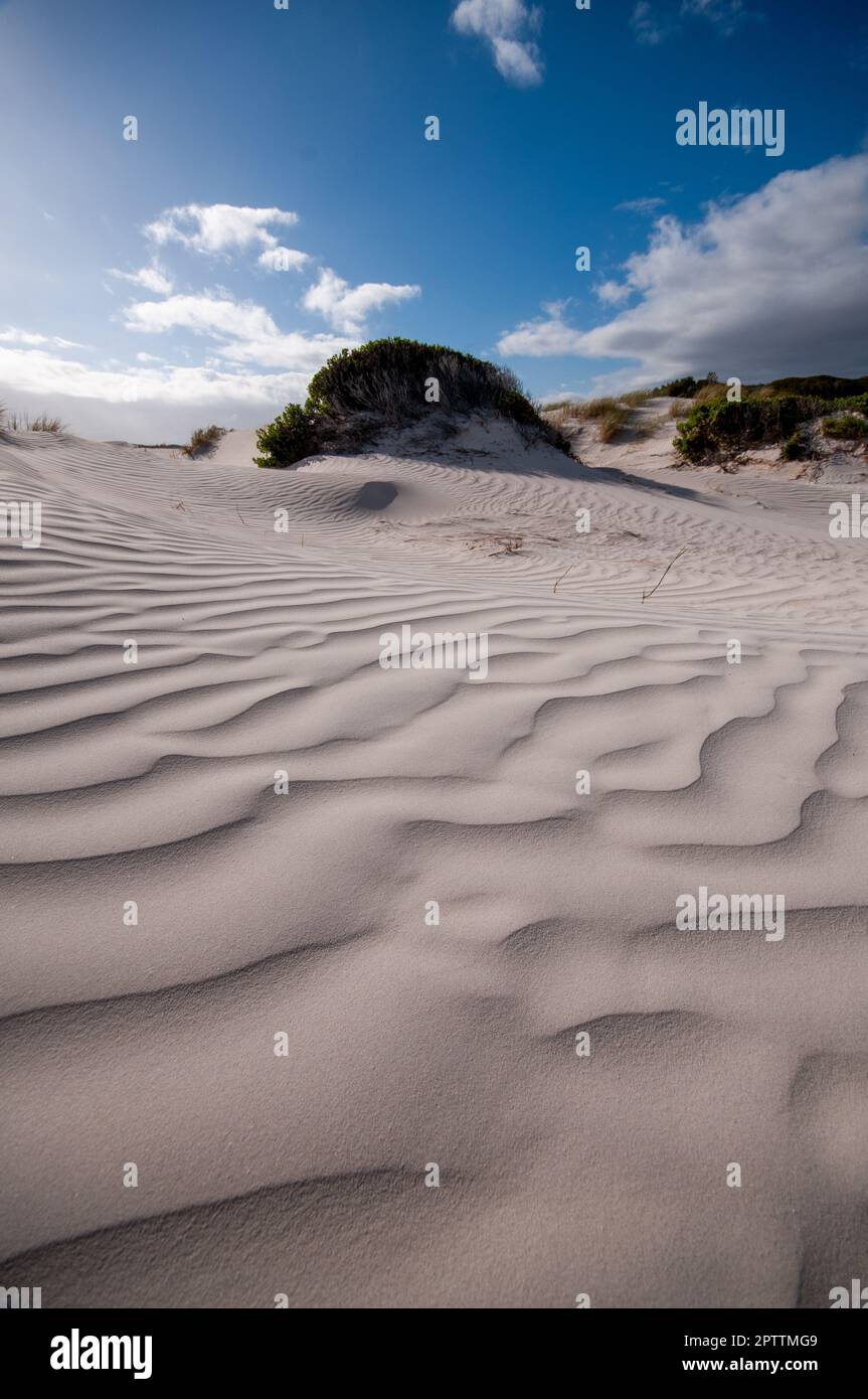 Sanddünen an der Küste des Indischen Ozeans im südlichen Südafrika in der Nähe der Kleinstadt Struisbaai. Ganz in der Nähe von L'Agulhas, dem südlichsten Punkt von Arica Stockfoto