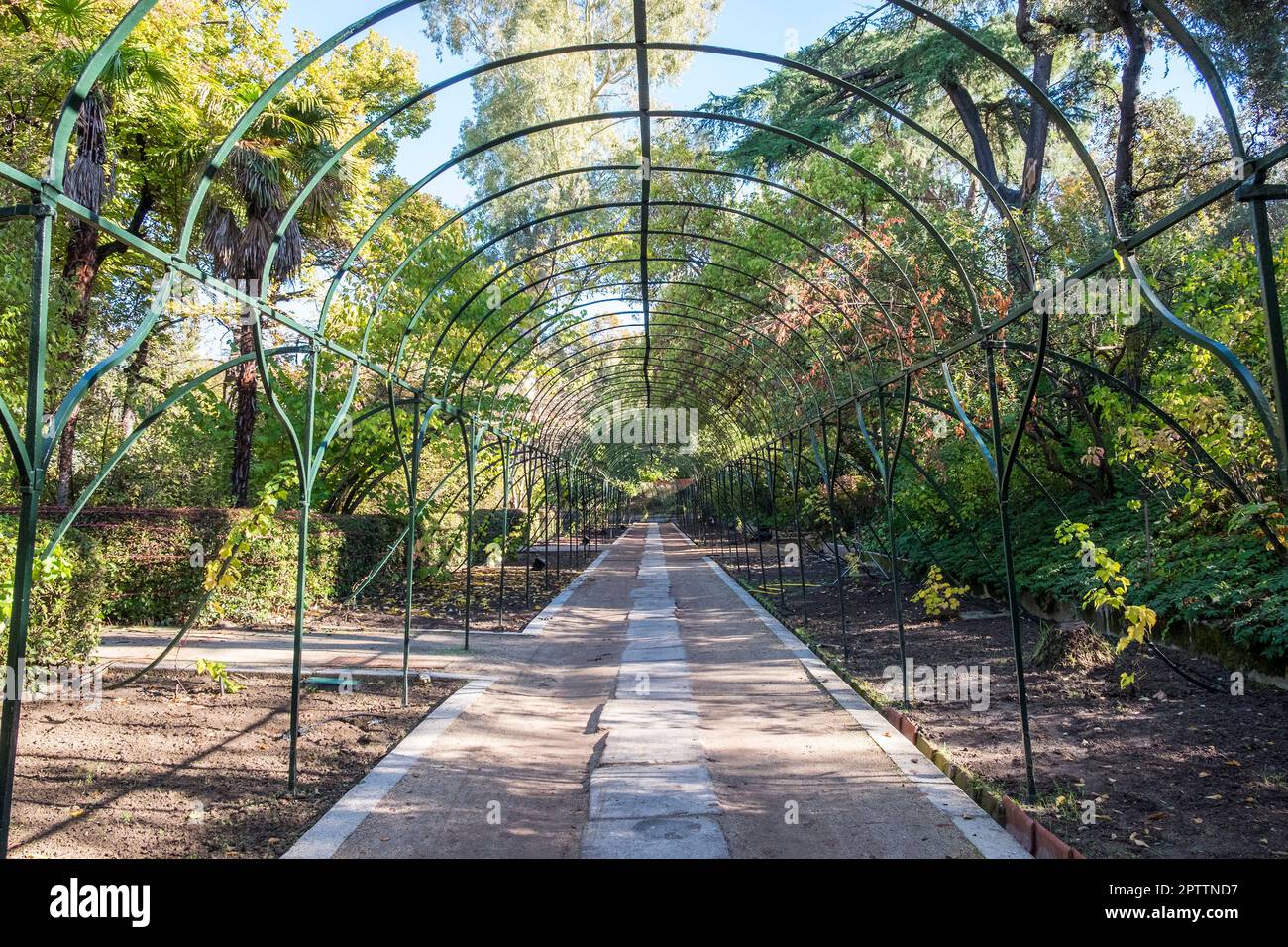 Spanien, Madrid, Real Jardín Botánico, Botanischer Garten Stockfoto