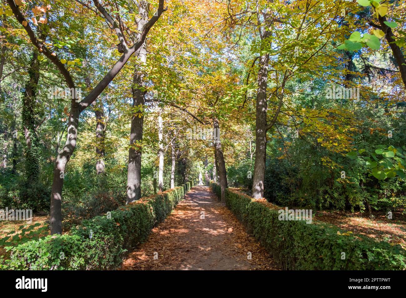 Spanien, Madrid, Parque de El Retiro, Jardines del Buen Retiro Stockfoto