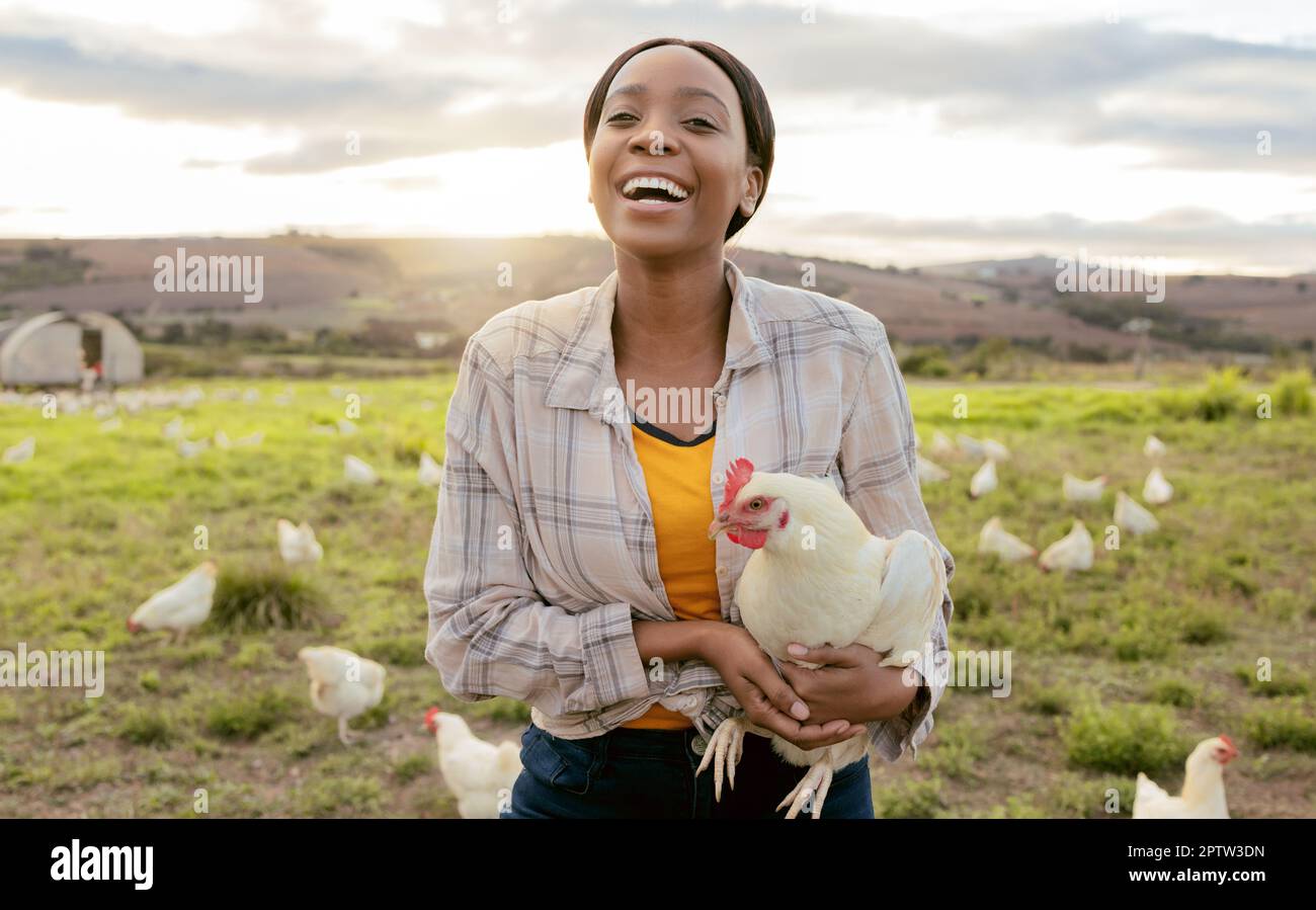 Farmer, Hühnchen und schwarze Frau, glücklich und arbeitet für Landwirtschaft, Kleinunternehmen und Nachhaltigkeit auf dem Land. Bauernarbeiter, Lächeln und tierische Sust Stockfoto