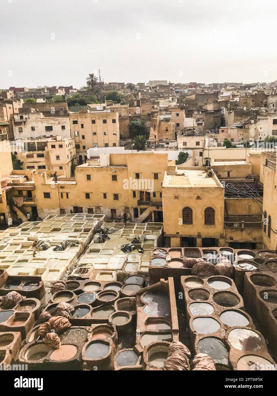 Marokko, Fez, Tannery Stockfoto