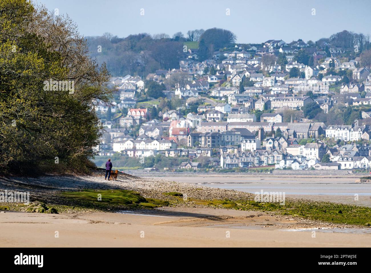 Grange-over-Sands aus New Barns Bay, Arnside, Milnthorpe, Cumbria, Großbritannien. Stockfoto