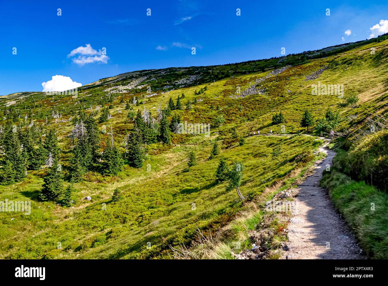 Karkonosze, Szklarska Poreba. Fot. Wojciech Fondalinski Stockfoto