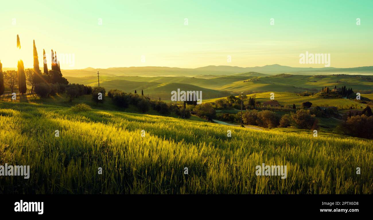 Panorama des Sonnenaufgangs in Val d'Orcia, Toskana, Italien Stockfoto