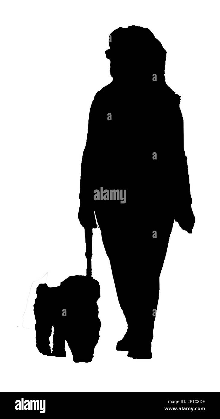 Reife Frauen, die mit dem Hund gehen, isolierte Silhouetten-Illustration Stockfoto