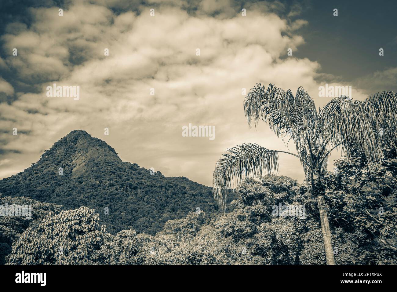 Altes Schwarz-Weiß-Bild des Abraao-Berges Pico do Papagaio mit Wolken auf Ilha Grande Angra dos Reis Rio de Janeiro Brasilien. Stockfoto
