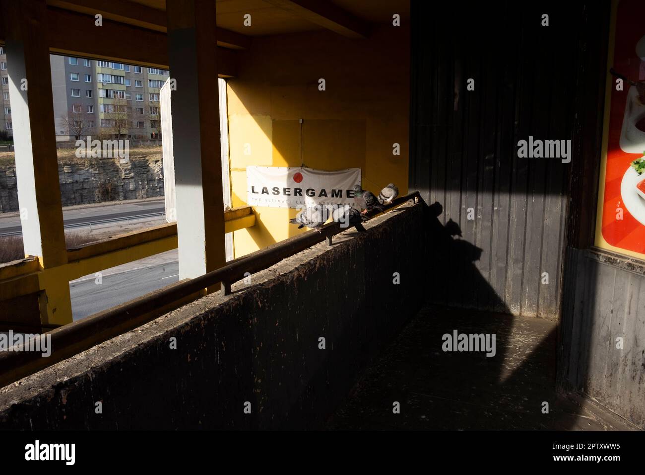 Tauben auf dem Balkon im Stadtteil Lasnamäe in Tallinn, Estland. Dies ist ein ärmeres Gebiet von Tallinn mit einer überwiegend russischen Bevölkerung, die sich verändert hat Stockfoto