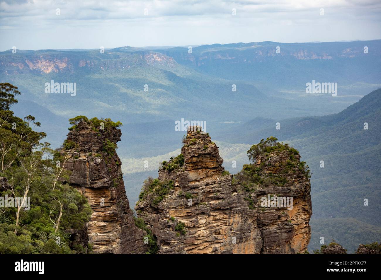 Blue Mountains in Australien. Stockfoto