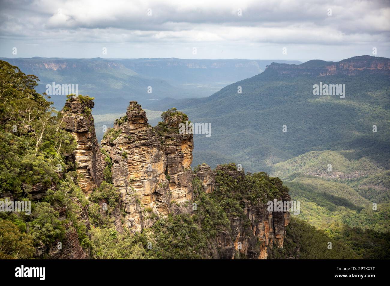 Blue Mountains in Australien. Stockfoto