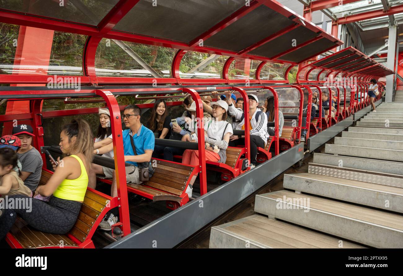 Eisenbahnwagen Blue Mountains, Australien. Stockfoto