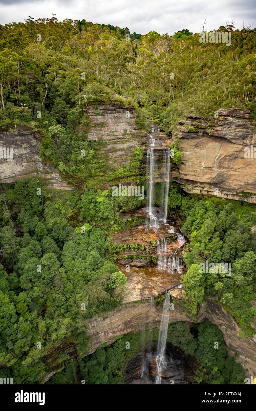 Blue Mountains in Australien. Stockfoto