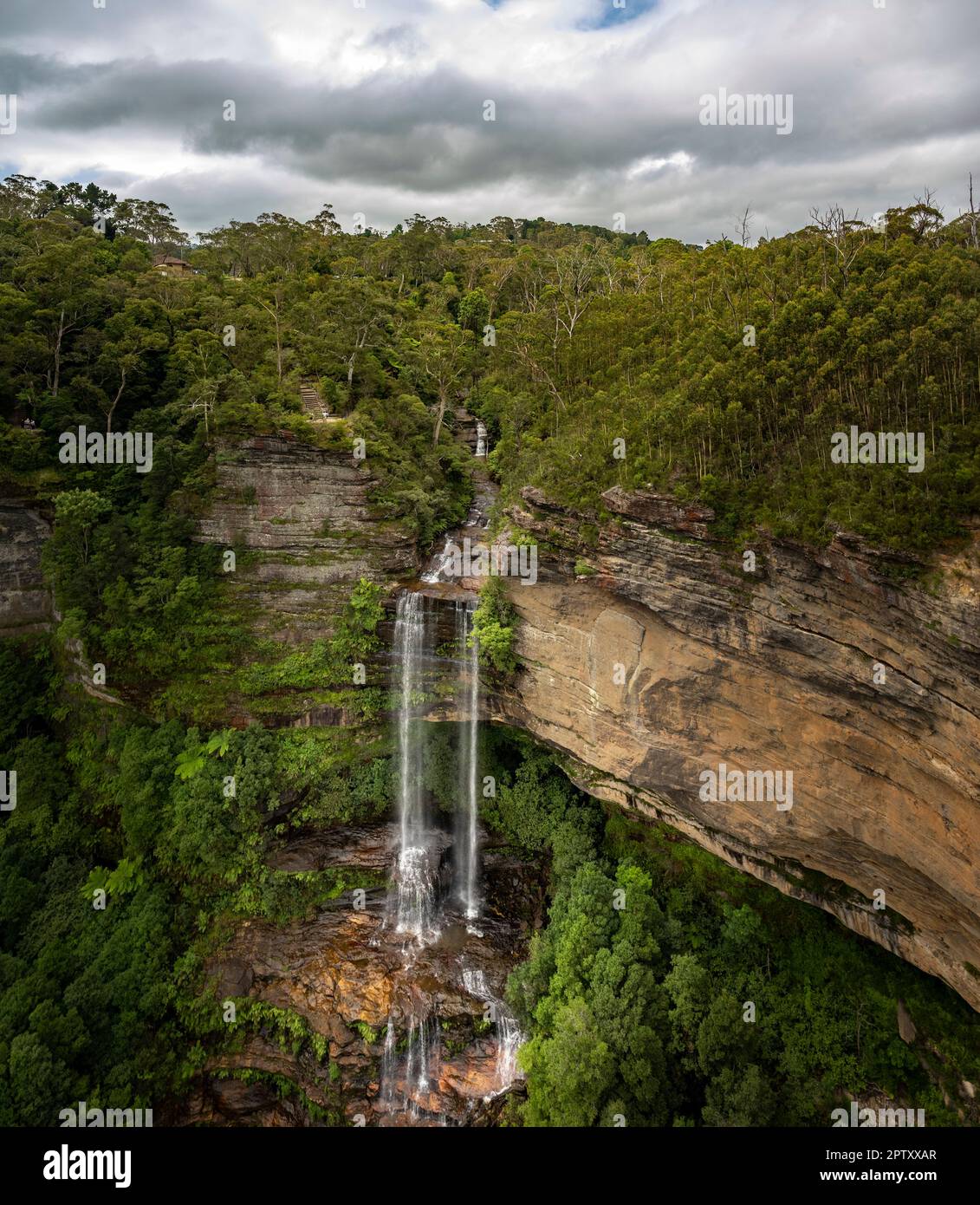 Blue Mountains in Australien. Stockfoto