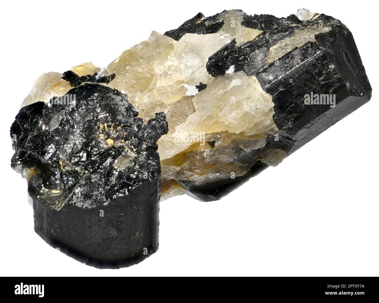 Schwarzer Turmalin / Schörl Kristalle aus Minas Gerais, Brasilien Stockfoto