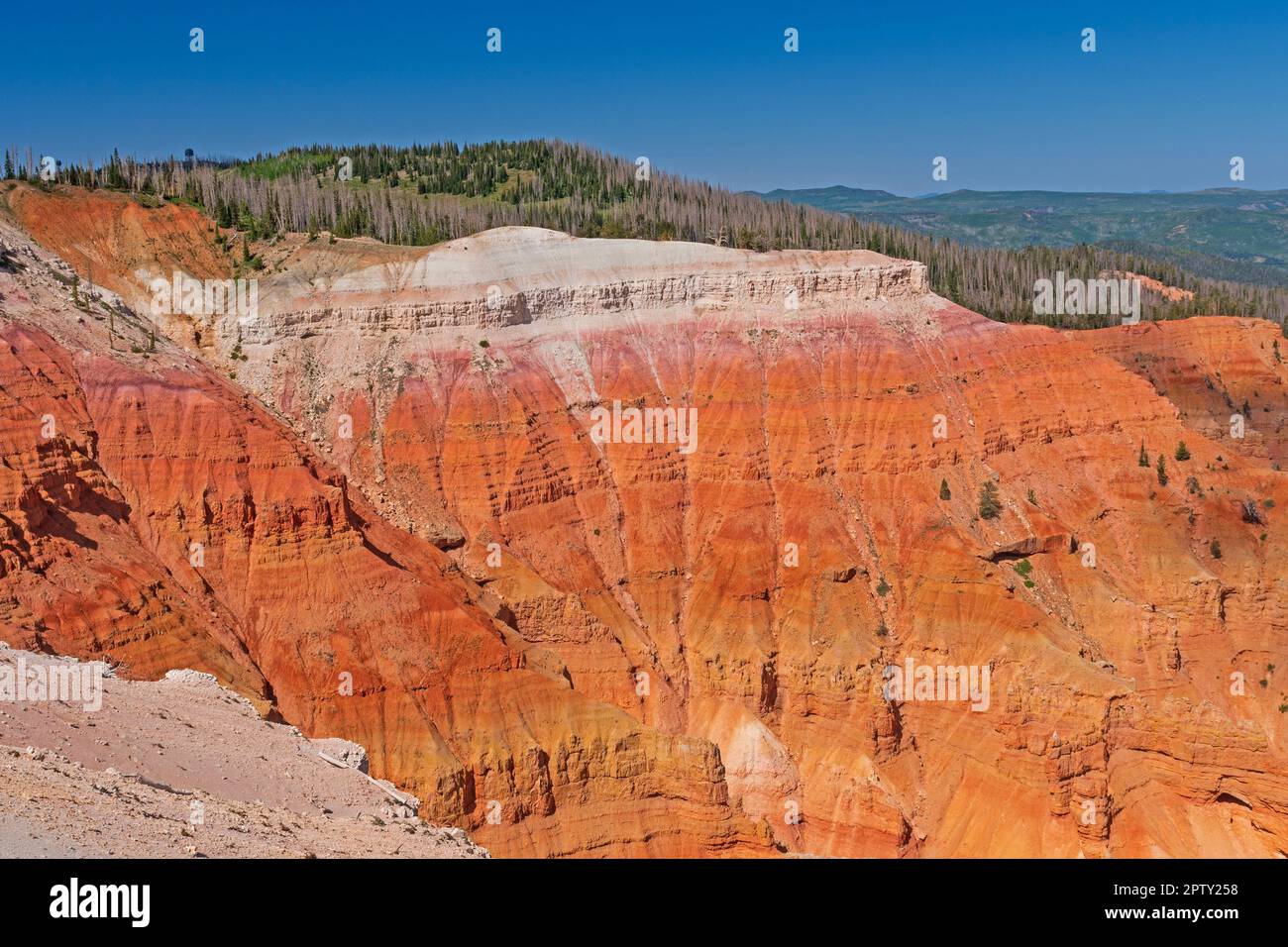 Lebendige Farbtöne auf den ungeschützten Klippen im Cedar Breaks National Monument in Utah Stockfoto