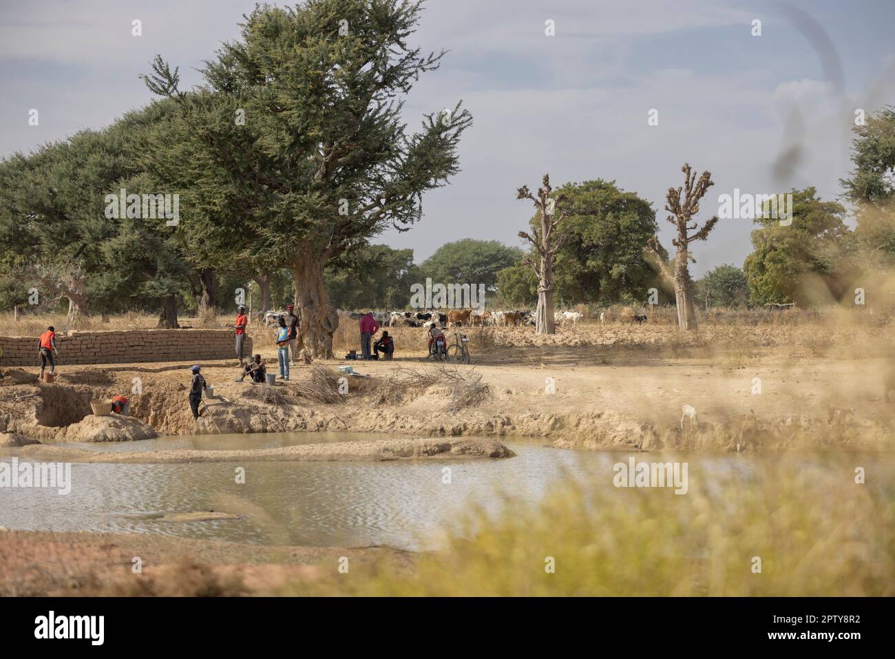 Ein schwindender Fluss fließt durch ein ländliches Gebiet in der Region Segou, Mali, Westafrika. 2022 Dürre und Hungerkrise in Mali. Stockfoto