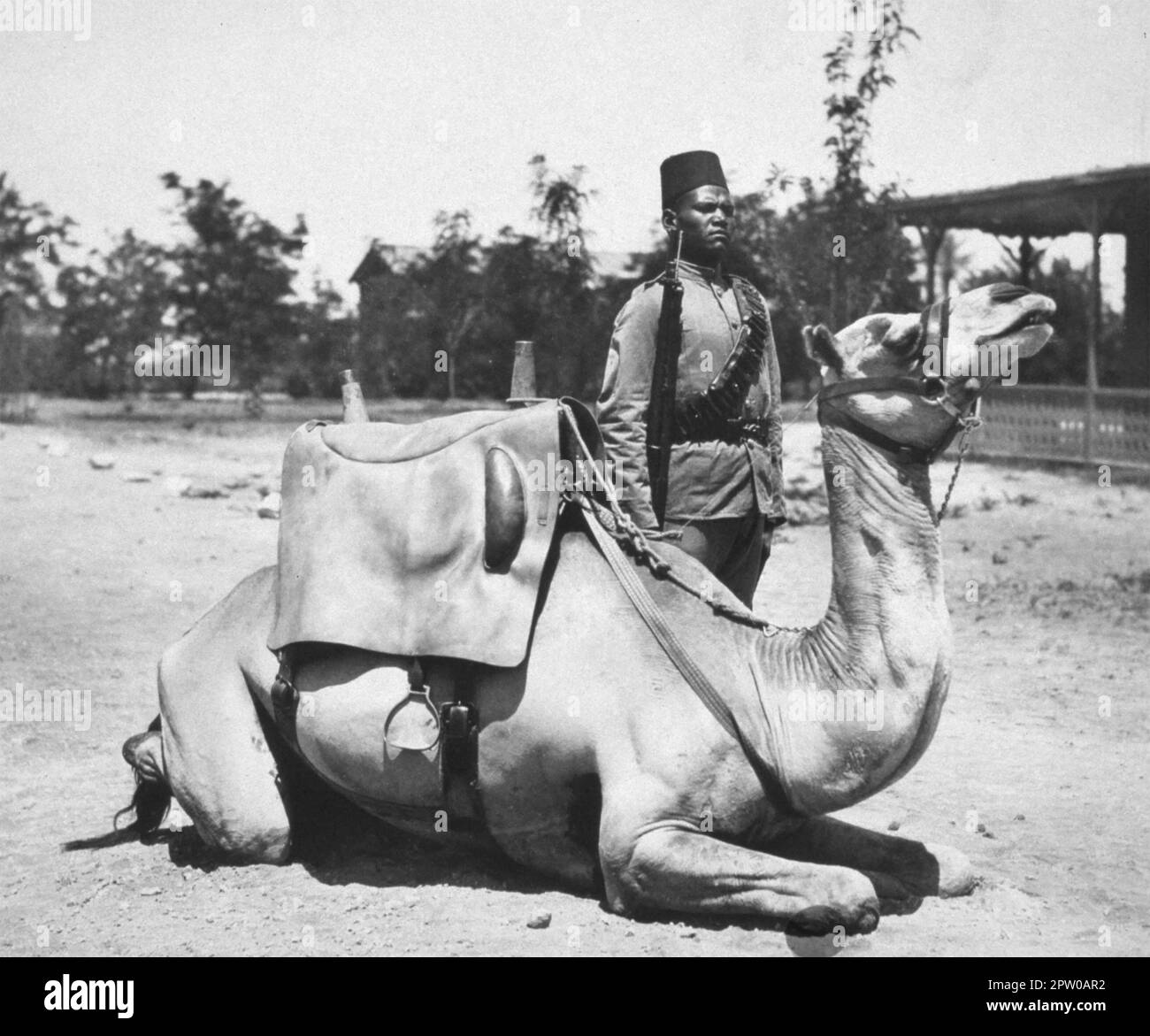 SUDANESISCHER Kamelsoldat der lokalen Streitkräfte der britischen Armee, von amerikanischem Fotografen und Journalist Frank Carpenter etwa 1920 Stockfoto