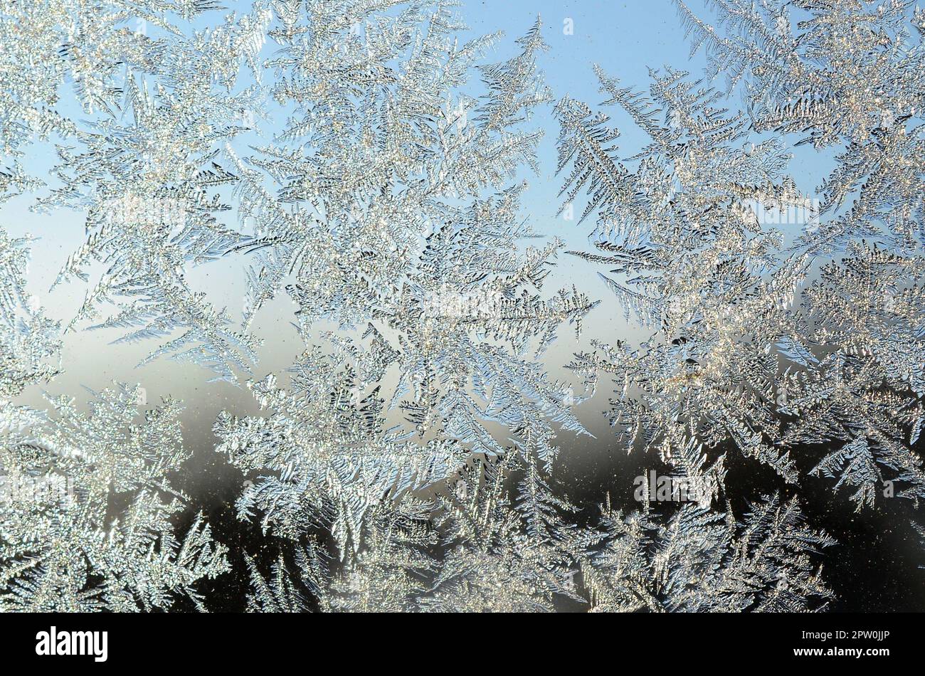 Schneeflocken frost rime Makro auf Fenster Glasscheibe. Bunte Eis am Fenster Oberfläche, natürlichen Hintergrund Textur Stockfoto