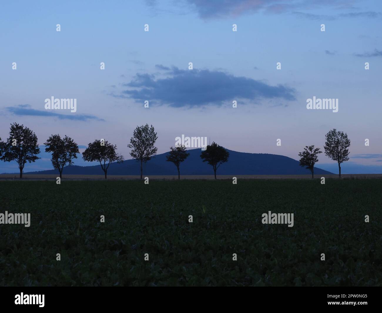 Ländliche Landschaft mit Bergen (Mt. Sleza) und Bäumen - Polen Stockfoto