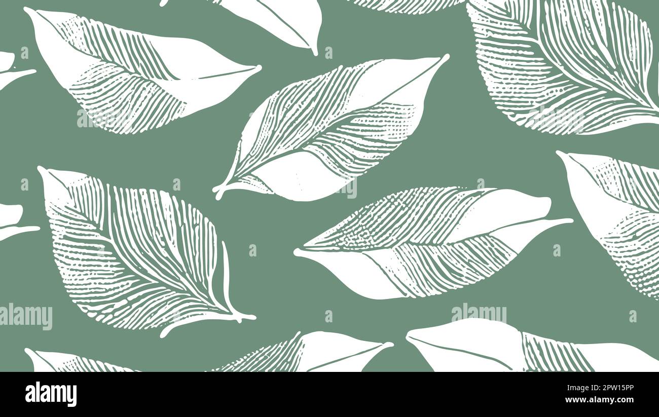 Weiße Blattstruktur mit dunkelgrünem Hintergrund Stockfoto