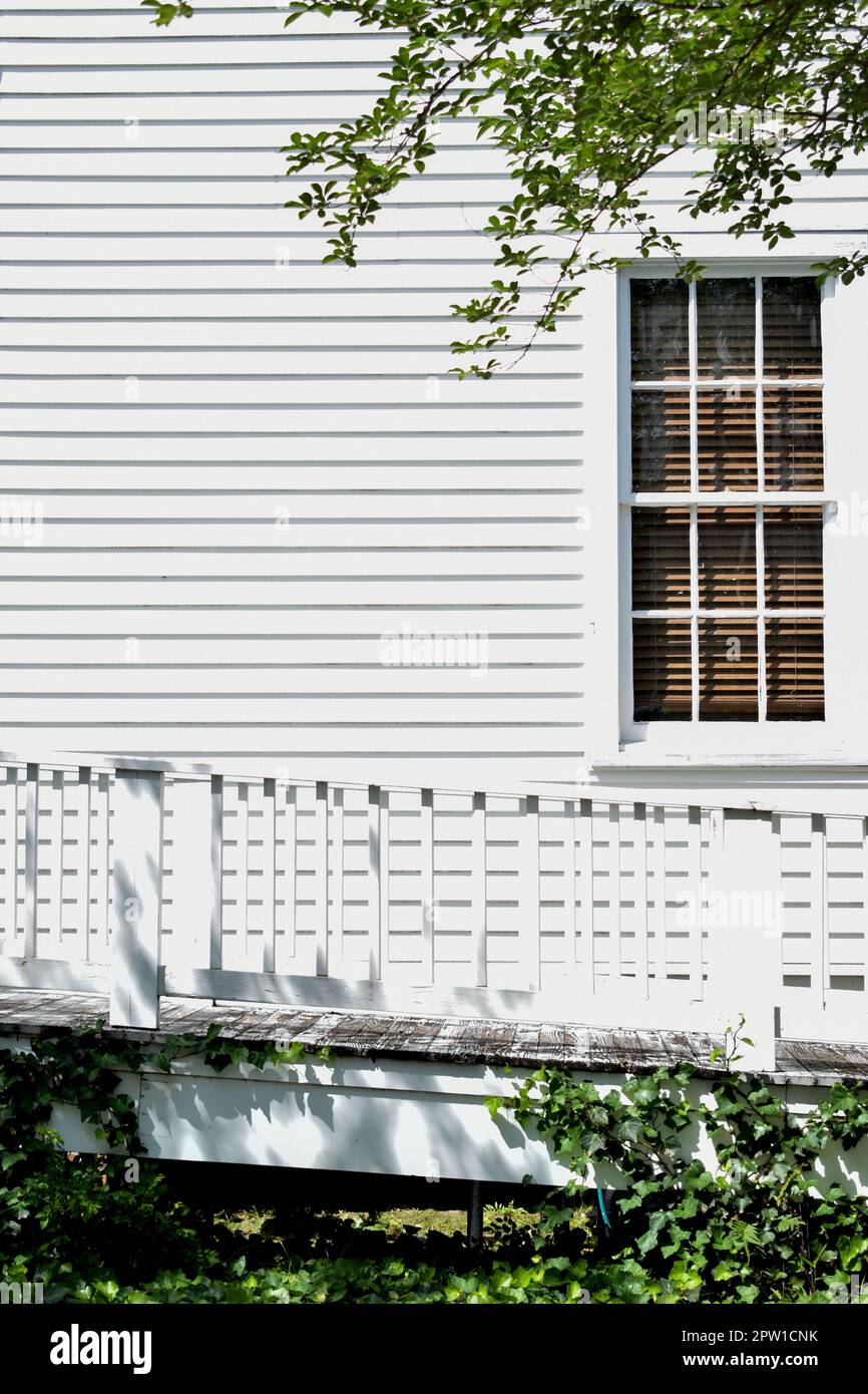 Weiße Hausrampe und Fenster mit grünem Laub Stockfoto