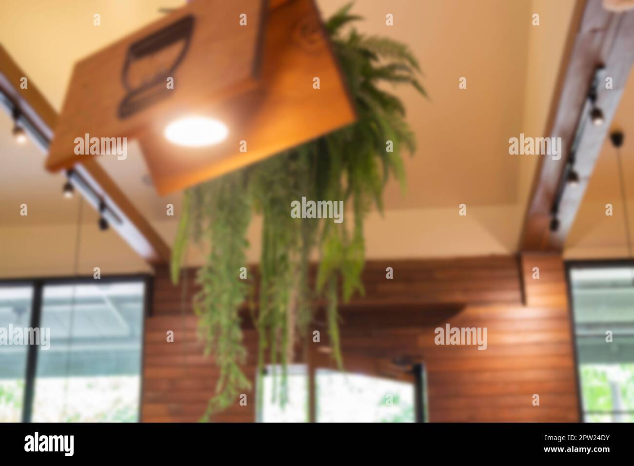 Das Innere des Gewächshauses mit tropischen Pflanzen und Innenpflanzen, Stockfoto Stockfoto