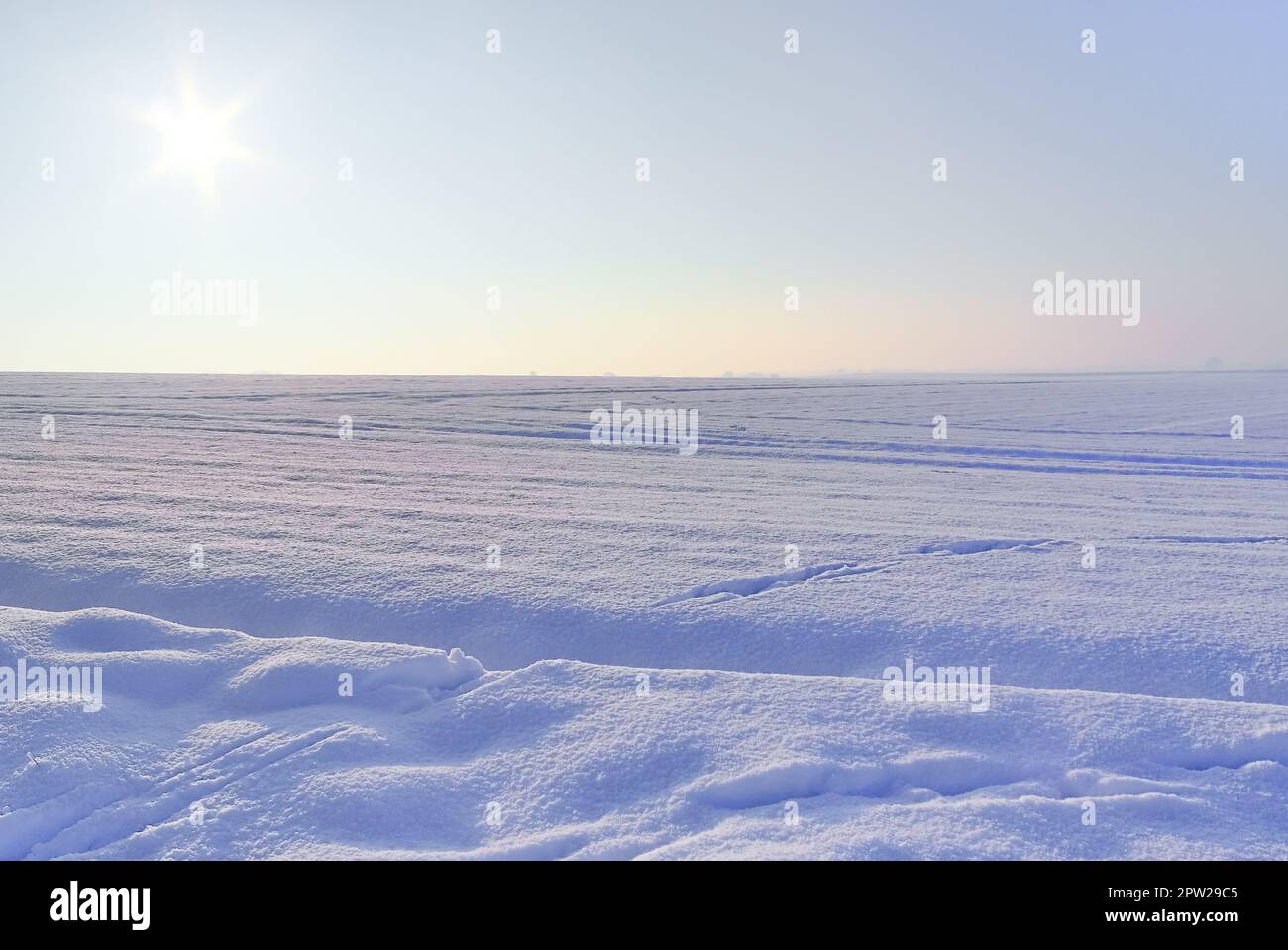 Ein weißes, schneebedecktes Stück Ackerland im Winter an einem sonnigen Tag Stockfoto