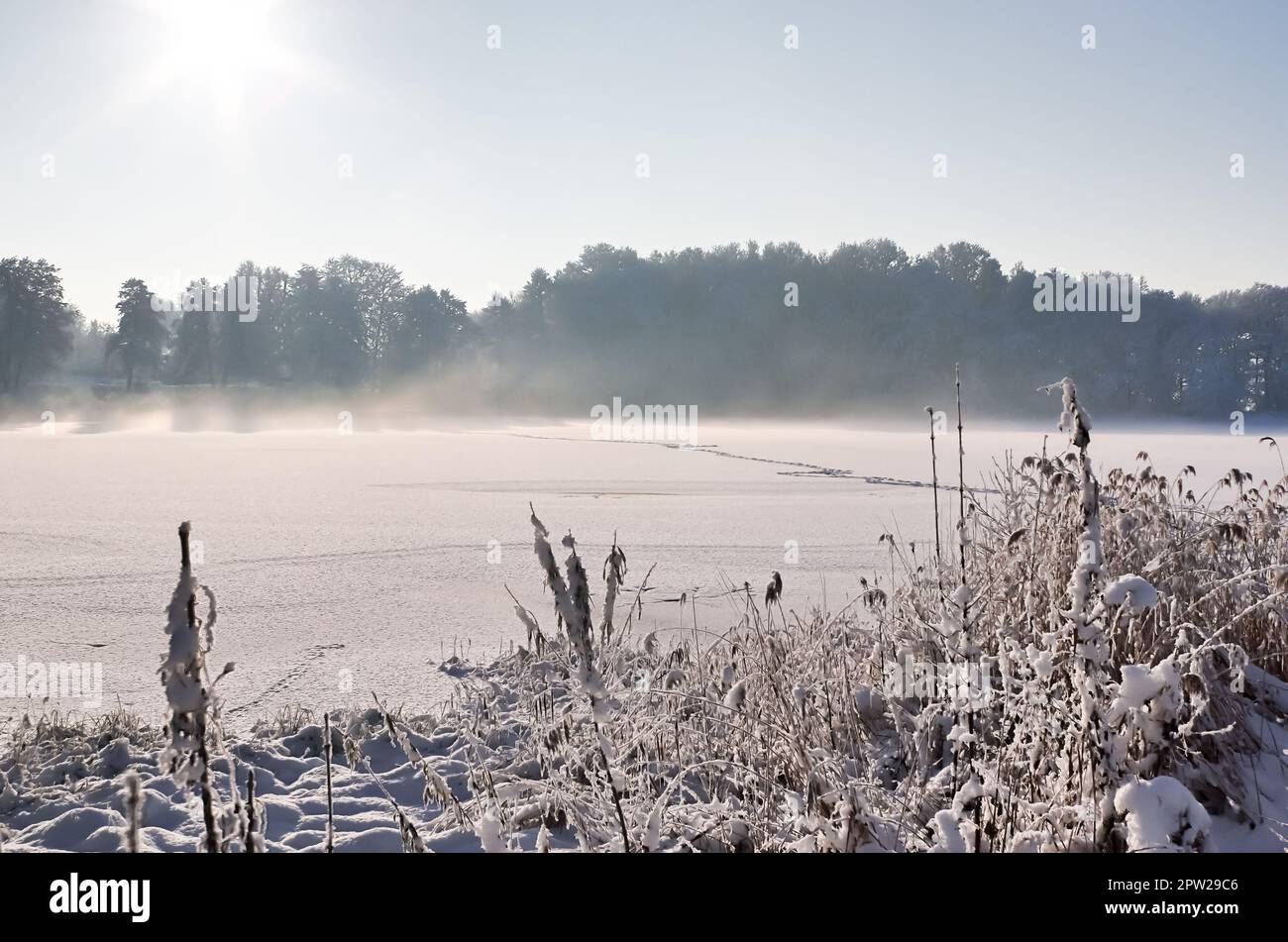 Schöner Winter an einem See und Wald mit Schnee geschossen Und Eis Stockfoto