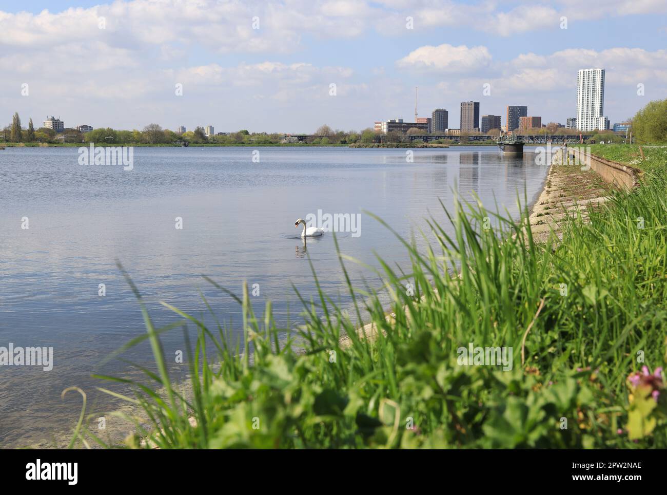 Walthamstow Wetlands, London Wildlife Trust, ein 211 ha großes Gelände mit 10 Reservoirs, die Trinkwasser für London, Großbritannien, liefern Stockfoto