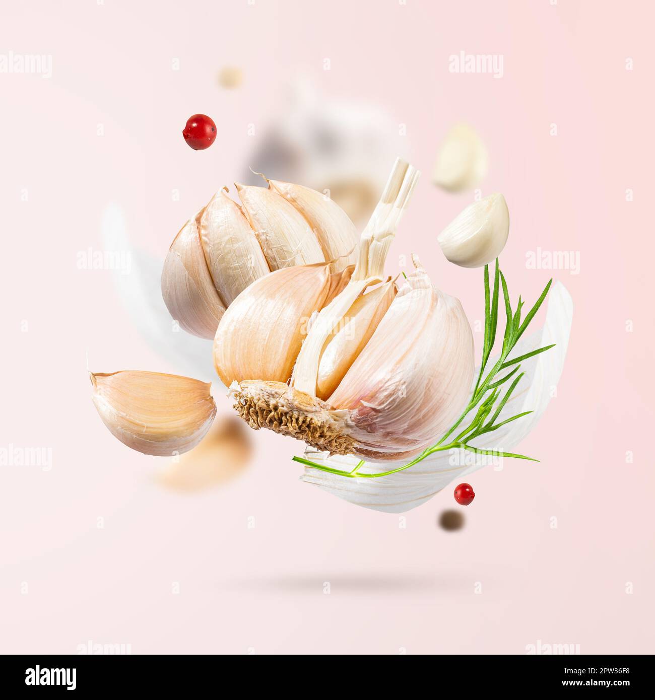 Fliegender Knoblauch fällt in die Luft mit rotem und schwarzem Pfeffer und Kräutern wie Dill und Fenchelblätter auf hellrosa Hintergrund. Würziges, duftendes Gewürzgericht Stockfoto