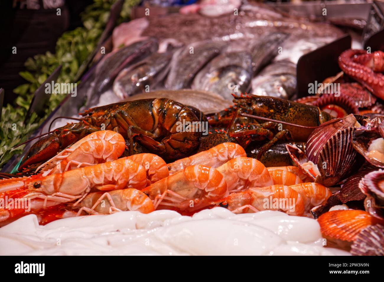 Frischer Fisch und Meeresfrüchte auf einem lokalen Markt in Barcelona, Katalonien, Spanien Stockfoto
