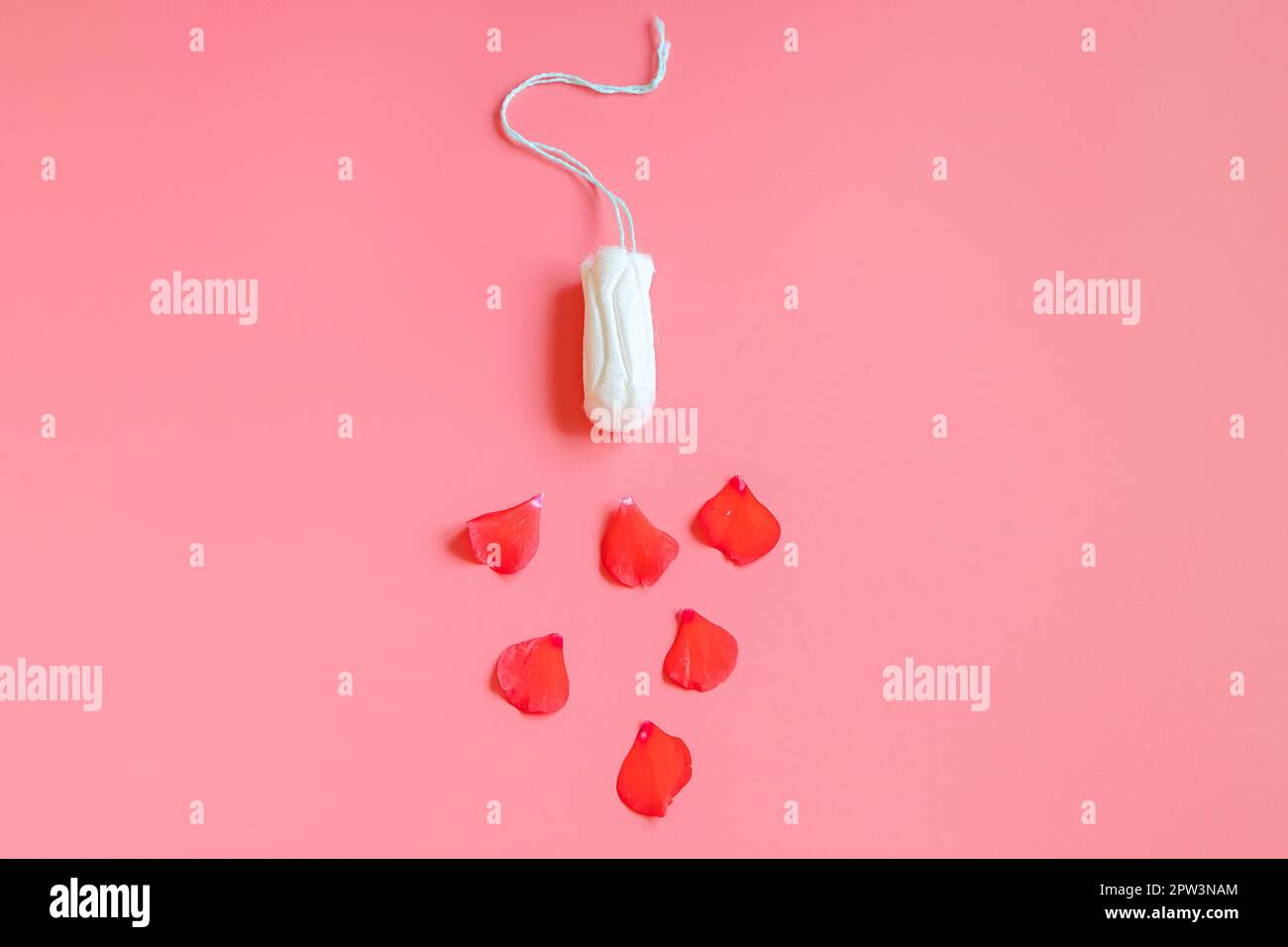 Hygienischer Baumwolltampon und Blütenblätter auf pinkfarbenem Hintergrund. Weibliches Menstruationshygiensprodukt. Frauengesundheitskonzept. Speicherplatz kopieren. Stockfoto