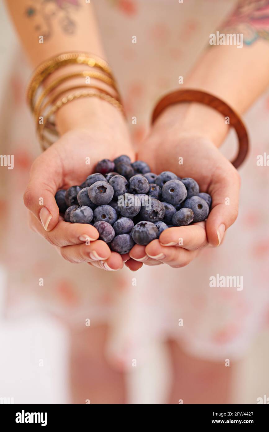 Reich an Antioxidantien und so lecker. Ein Haufen Blaubeeren in den Händen von Frauen Stockfoto