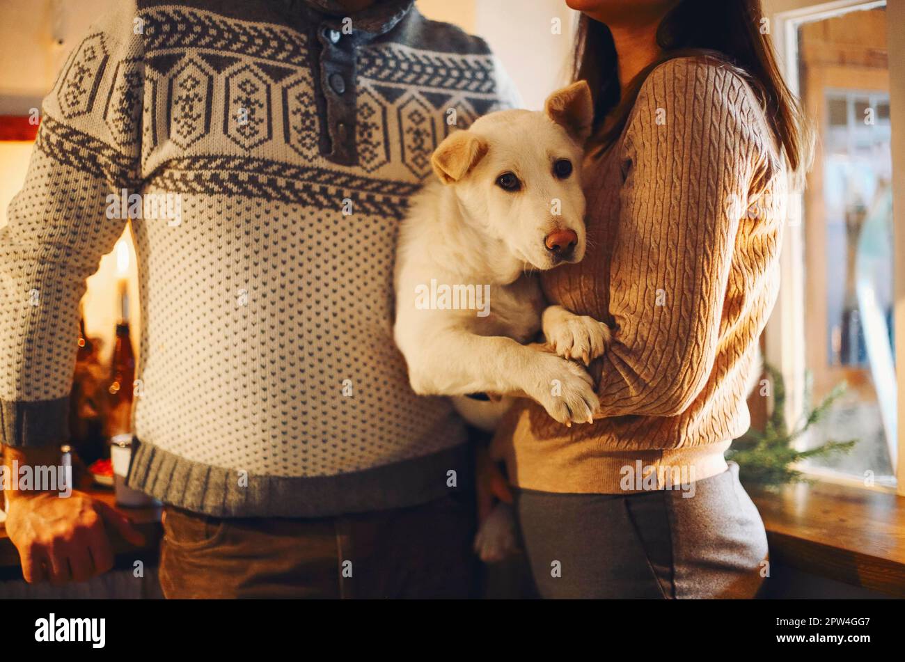 Ein junges glückliches Paar, Mann und Frau, halten einen süßen weißen Hund in der Hand und umarmen sich, während sie in der Küche stehen, dekoriert für Weihnachten, nette Familie mit Hündchen Stockfoto