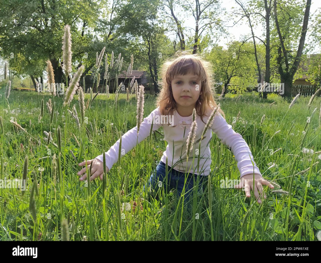 Mädchen auf der Wiese. Seidenartiges grünes Gras umgibt das Kind. Das Konzept der Ökologie und Harmonie mit der Natur. Süßes Mädchen berührt die Pflanzen mit ihr Stockfoto