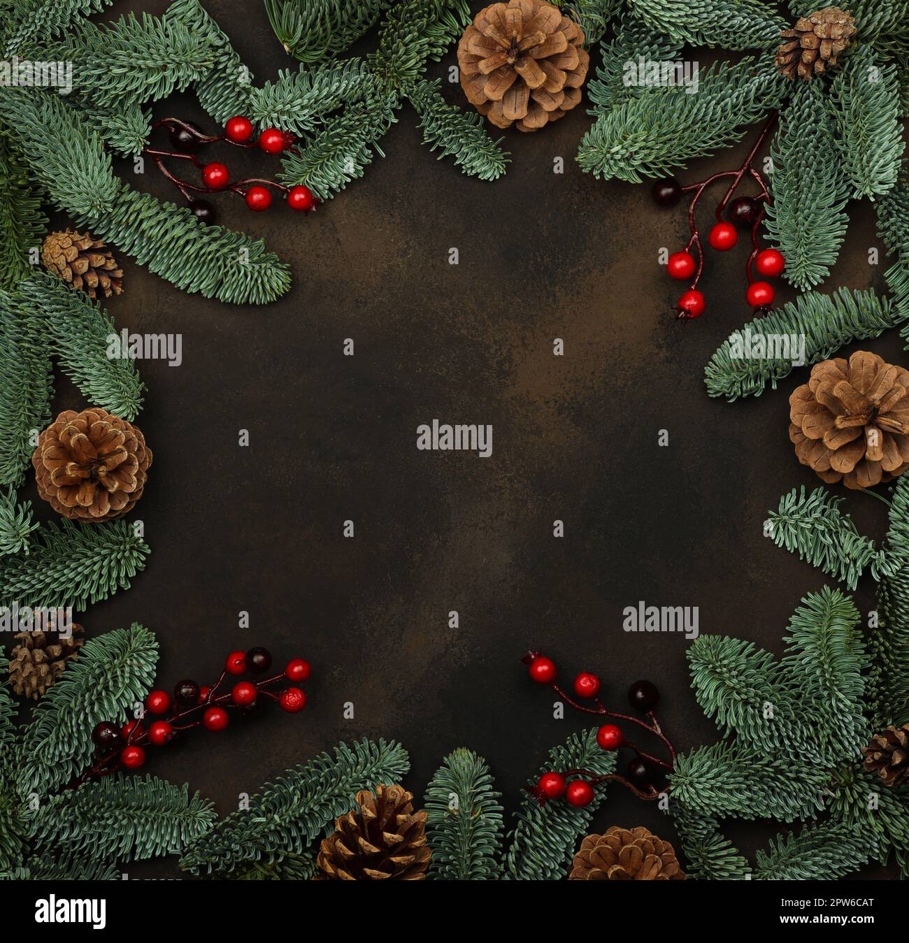 Nahaufnahme des Rahmens mit frischen grünen Fichten Weihnachtsbaumzweigen mit Zapfen und roten Heidelbeeren, auf dunkelbraunem Hintergrund mit Kopie Stockfoto