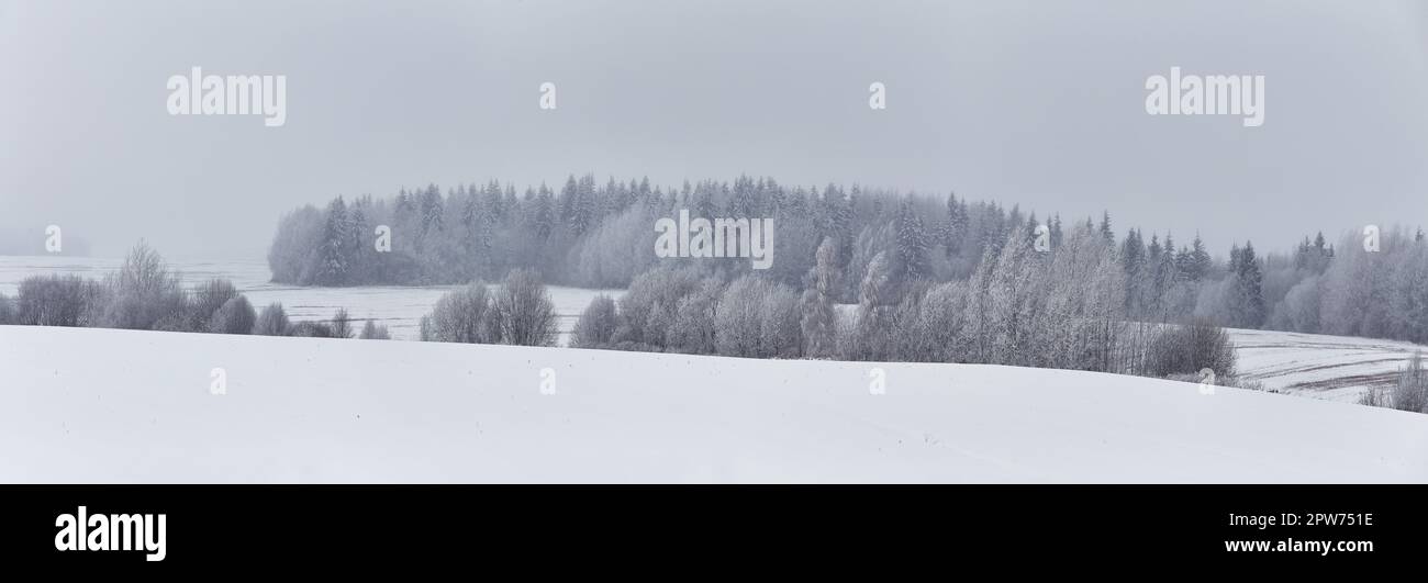 Panorama des Winterwaldes bedeckt von Wolken. Dezembernebel auf Hügeln. Nebiges Herbstland. Schneesturm. Verschneite Tanne, Kiefern. Kalter Wind bedeckt das Wetter. Stockfoto