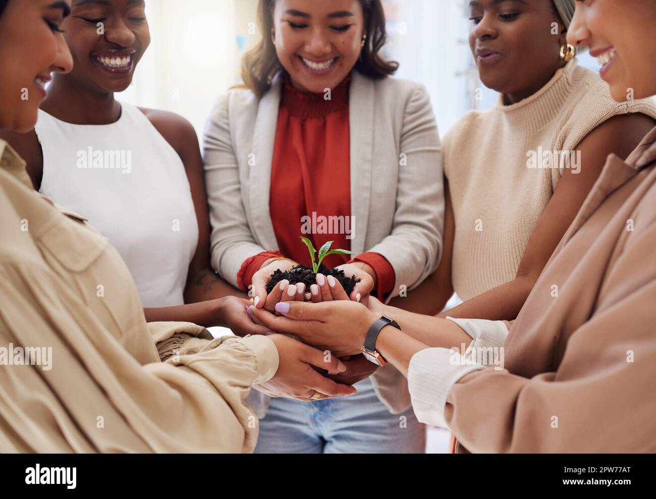Eine vielfältige Gruppe lächelnder Geschäftsfrauen, die den Sämling in der Erde in den Händen halten. Ein ethnisches Team von Fachleuten steht zusammen und entwickelt einen umweltfreundlichen Windstoß Stockfoto