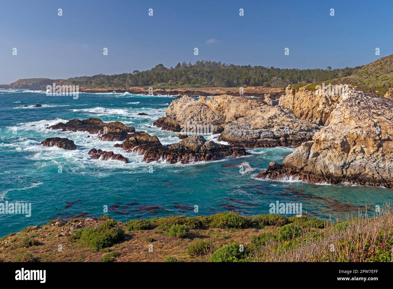 Das Point Lobos State Natural Reserve in Kalifornien lockt mit bunten Wellen an einer farbenfrohen Küste Stockfoto