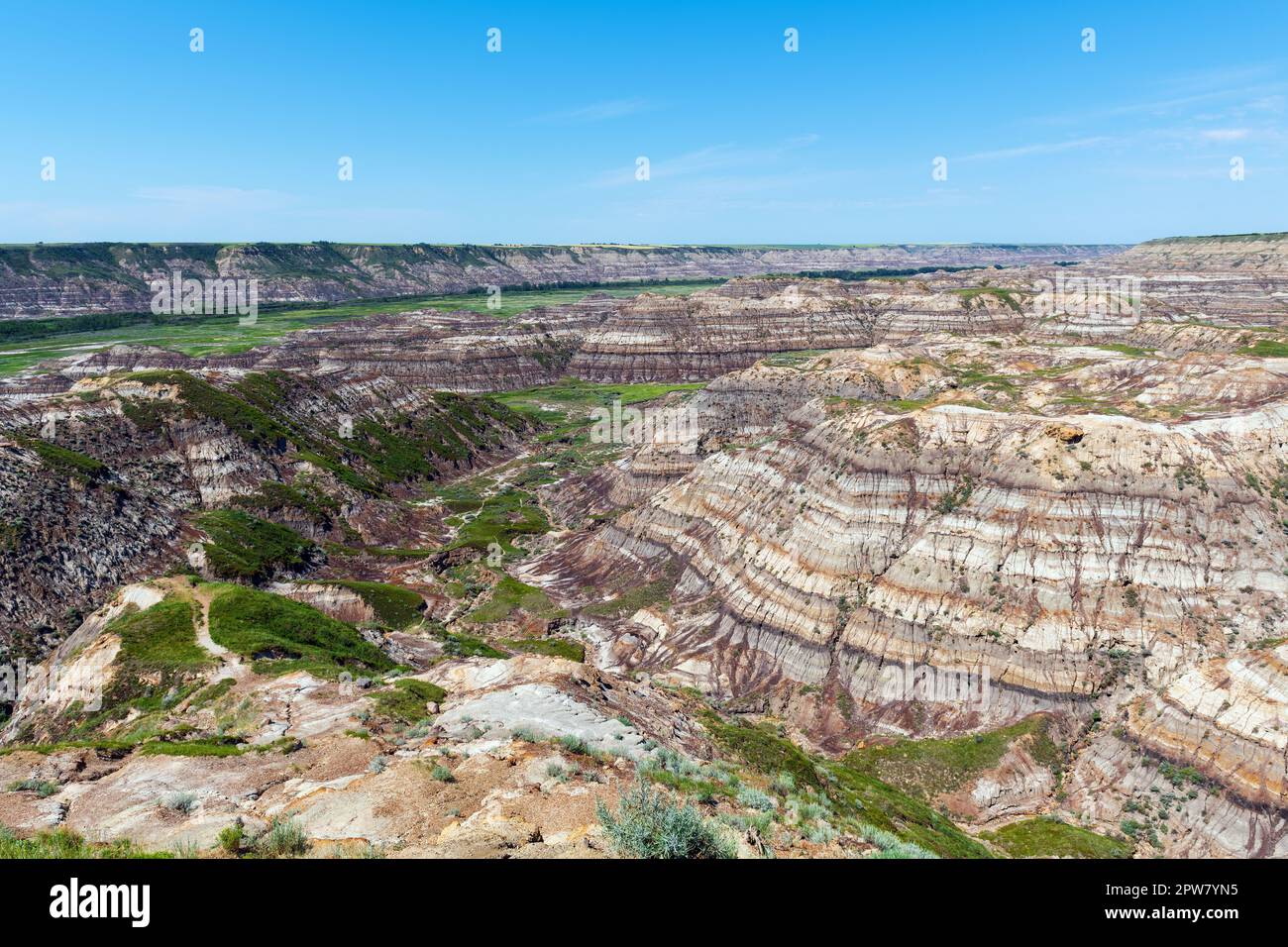 Drumheller Valley oder Alberta Badlands im Dinosaur Provincial Park, Alberta, Kanada. Stockfoto