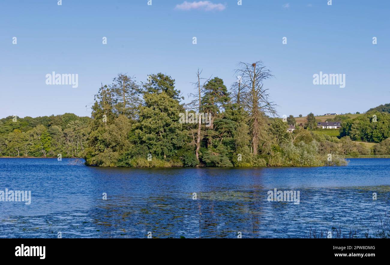 Eine kleine bewaldete Insel mit alten verlassenen Überresten eines befestigten Hauses auf, aber versteckt von Bäumen, im Loch von Clunie in der Nähe der Marktstadt Blai Stockfoto