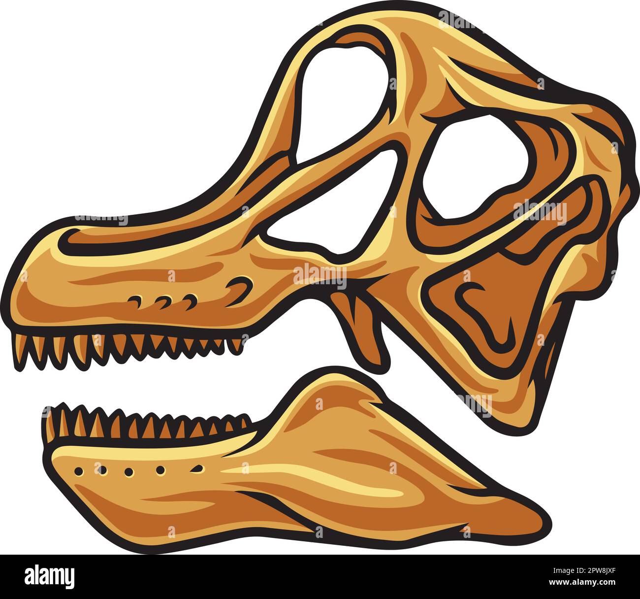 Fossiliendarstellung des Brachiosaurus-Dinosaurier-Schädels Stock Vektor