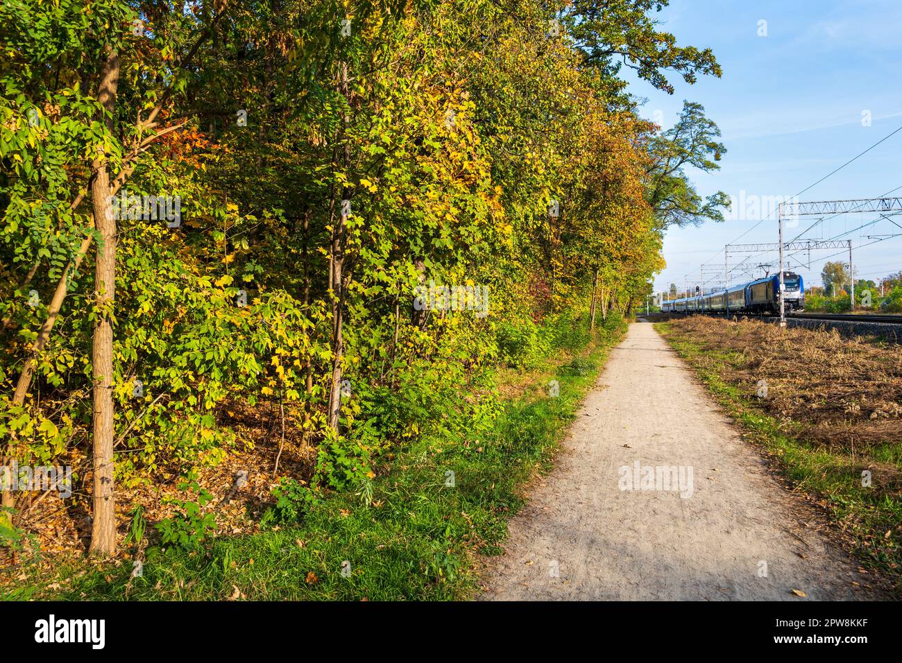 Pfad entlang des Herbstwaldes mit ankommendem Zug. Stockfoto