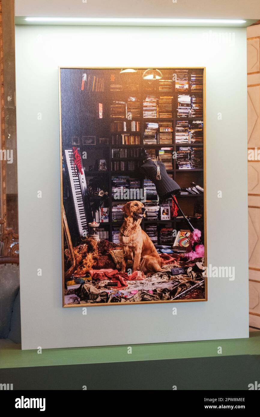 Fotoausstellung „Divas Dog Portraits“ von Francesco Pergolesi Fotograf in der Villa della Regina Italien, Turin Stockfoto